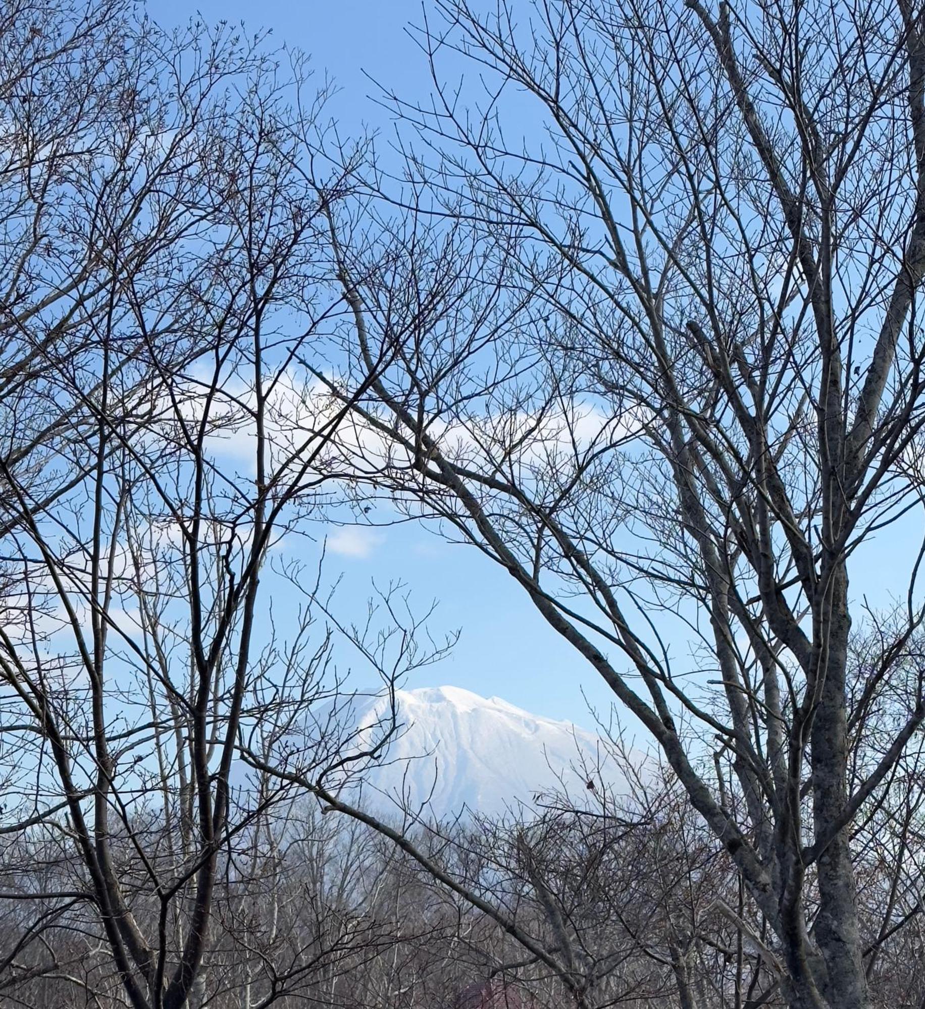 Tobari 帷 Niseko Hanazono Villa Kutchan Eksteriør billede